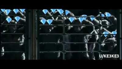 Apes: Watch This Before the Market Opens Each Day 🦍🙌💎💎