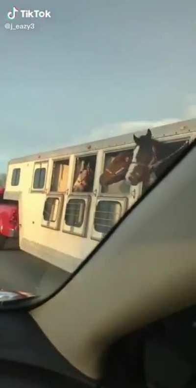 Doomslayer's horse headbanging