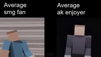 Average Fan VS Enjoyer