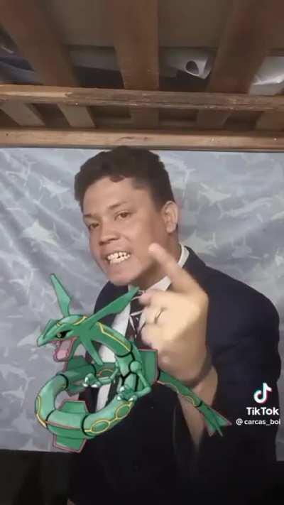 Pokemon inna nutshell