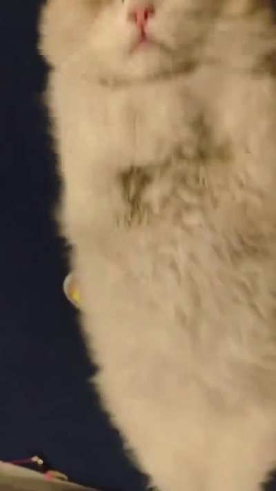 He will be mummified and entombed in a pyramid