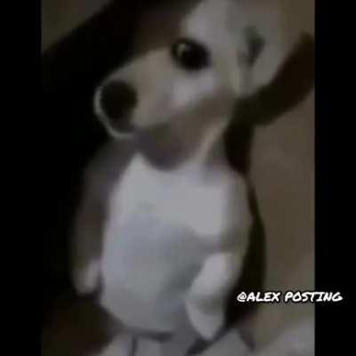 Nadie: las canciones de las Creepypastas en 2014