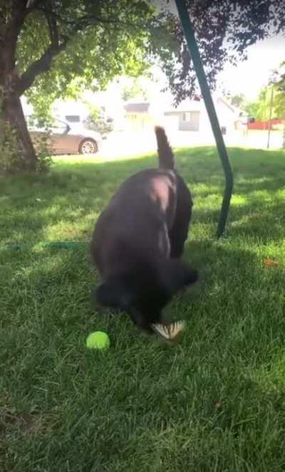 Look it's a disney princess