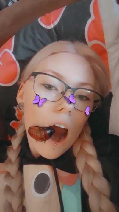 Where do you think you’re going 🪳