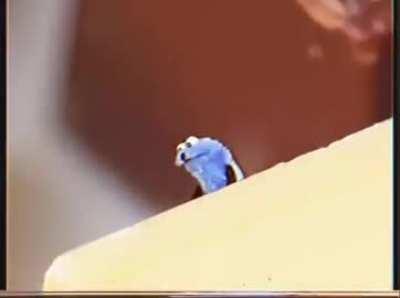 Welcome to the weird part of the internet