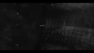 You've been playing the Casino Heist a little too much, so Pavel pays you a visit..