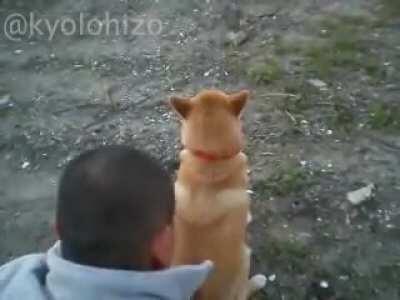 Solo mira al frente amigo...