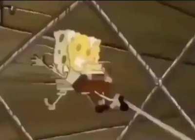 Spongecock squareballs