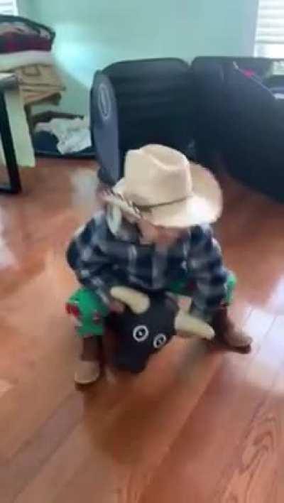 the bull wins in the cutest way possible