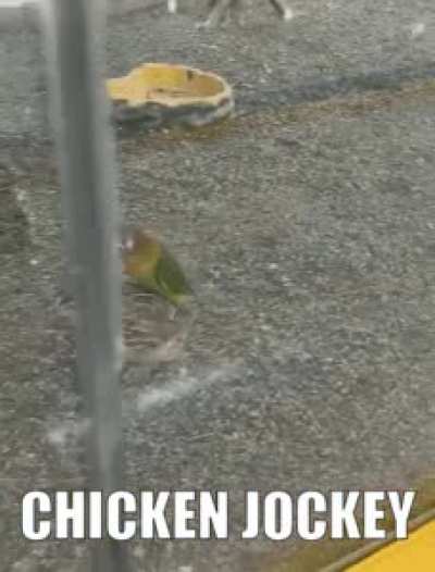 I Am Infertile from Eating Scented Candles: The