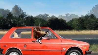 Big floppa is going to commit some war crime in Yugoslavia