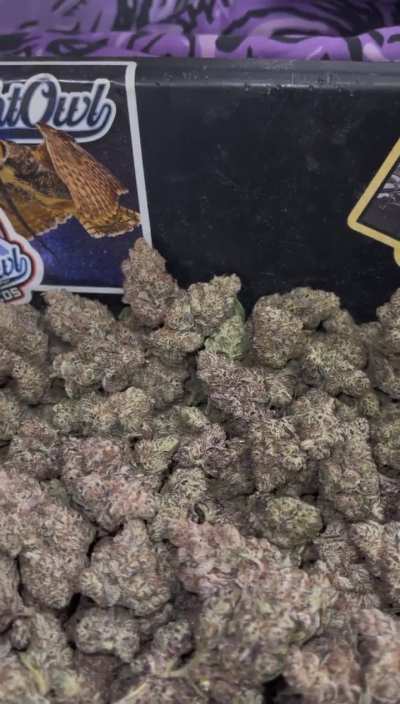 Strawberry Mojito ⛽️ 🍋‍🟩 Night Owl 🦉