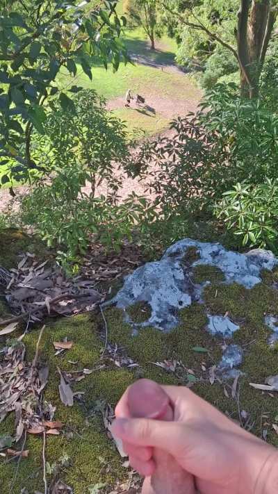 Do you think they would of stopped playing golf if they knew someone was jerking off up above them?