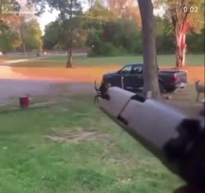 This is a reasonable reaction