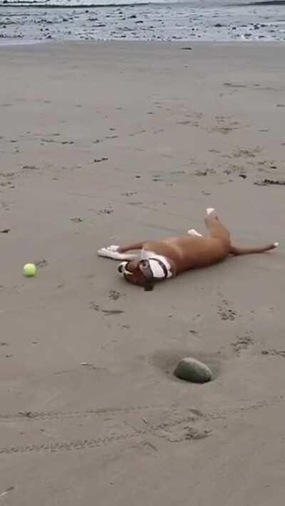 He completely just gave up