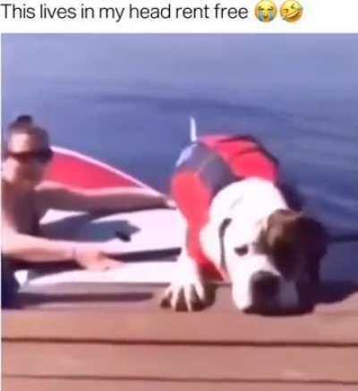 This makes me laugh everytime