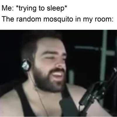 Mosquito Matt