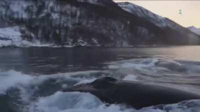 A calm relaxing day on the boat