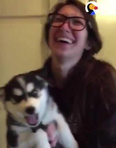 Dog forget how to bark...