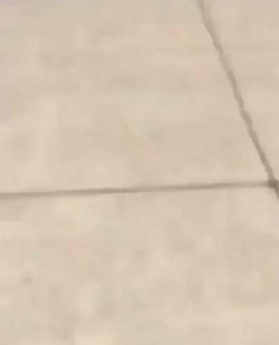 Dude pretends to hide a gun near school and gets jumped