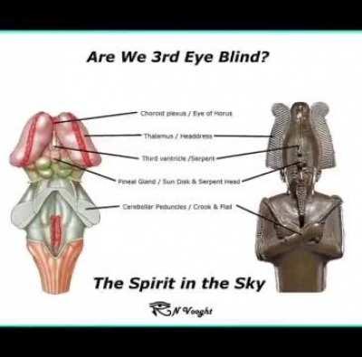 &iexcl;HOW I LOVE THE SCHIZOPOSTING! 😍😚🔥☠️💭😉🤑🥺🙄😠😎😱😹🤪🤙😃🧐🍷😭😏🤨📸🤯👉🤓👈🤔🥵