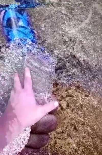 My brain hurts and yours will too