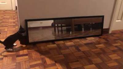 spooky otherworldly dimension