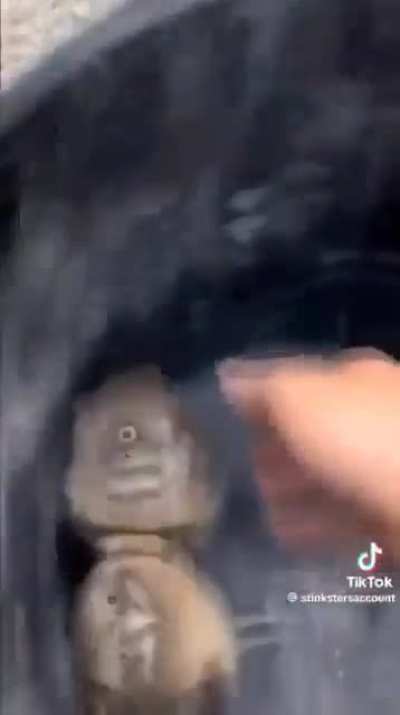 Support classes are mandatory.