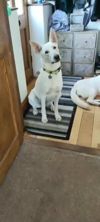 The bestest girls you could have