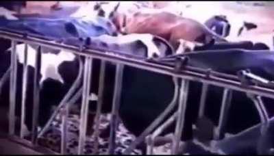 Ulan açken aynı bende böyle oluyorum