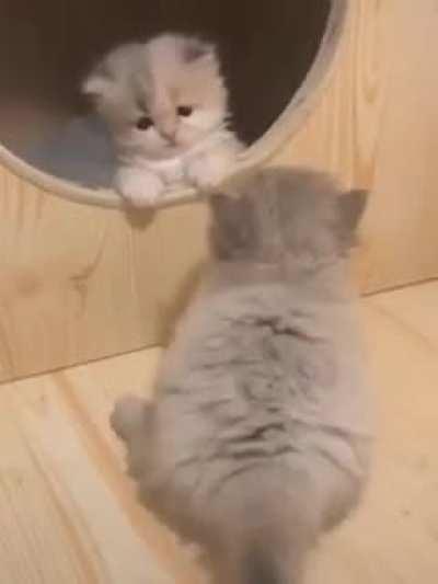 Perimeter protection system failed