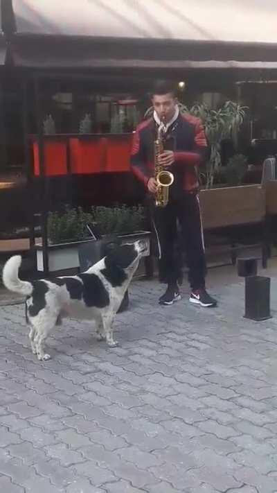 His side hustle is a smooth jazz singer