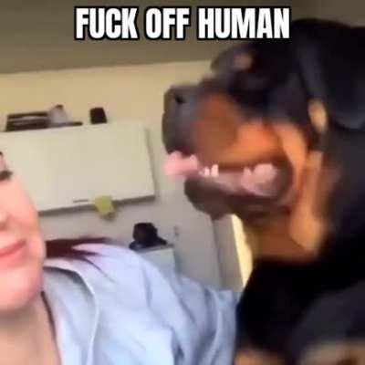 FO Human