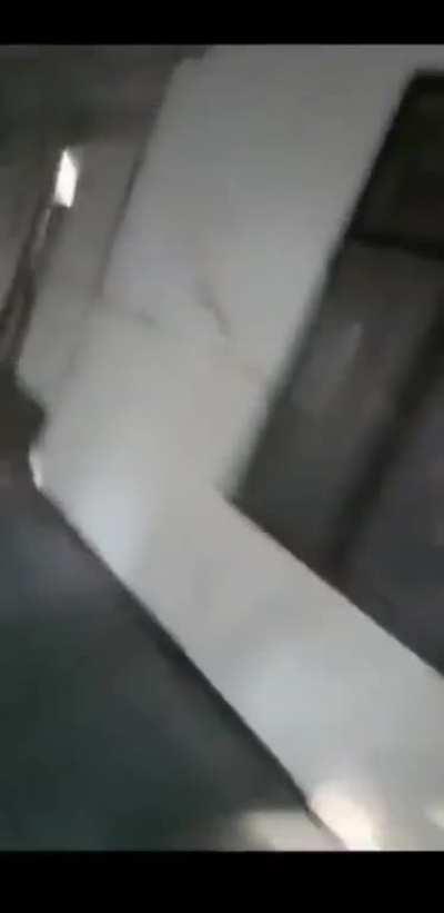 leopard in Delhi Court building