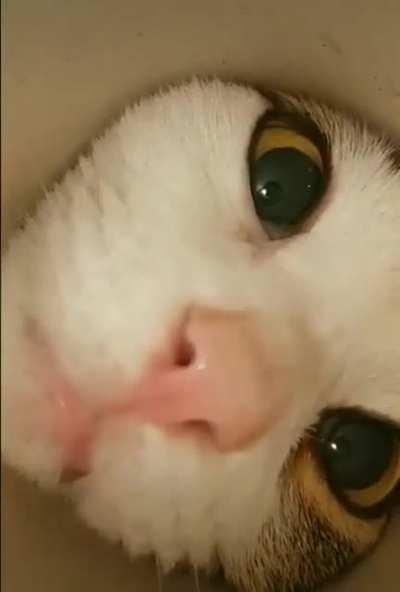 what are you looking ? let me check