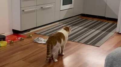 he can't go out because he got tapeworm