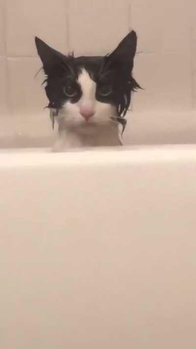 Ohh he is definitely plotting a revenge 😅😂