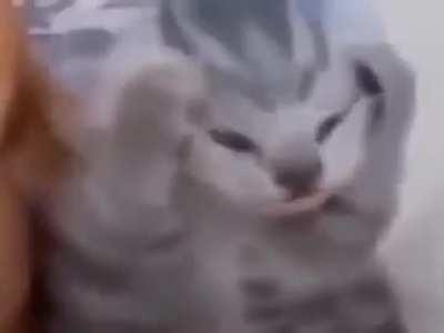 The voices, the images... They're always in my head