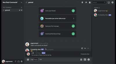 We can now make custom slash commands using bots!!