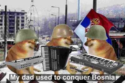 Can confirm Cheems is a proud Serb