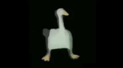 Pato_bailando_con_willyrex_cantando_de_fondo.mp4