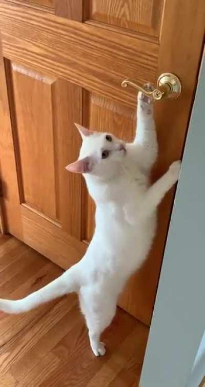 On the verge of a serious breakthrough