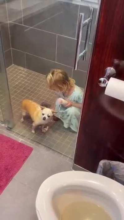 Can't believe the dog enjoys it.