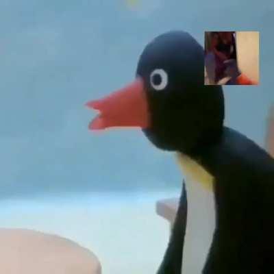 Ping(fard)u turns(bal) ra(ls)ci(la)st(nd)