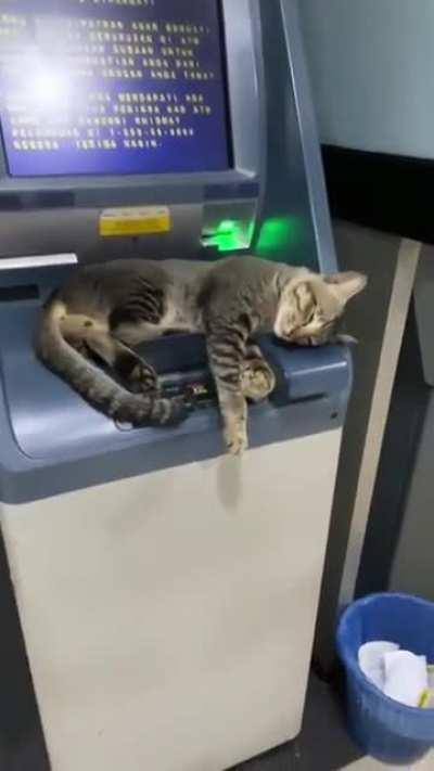 Sorry, unable to dispense cash now.