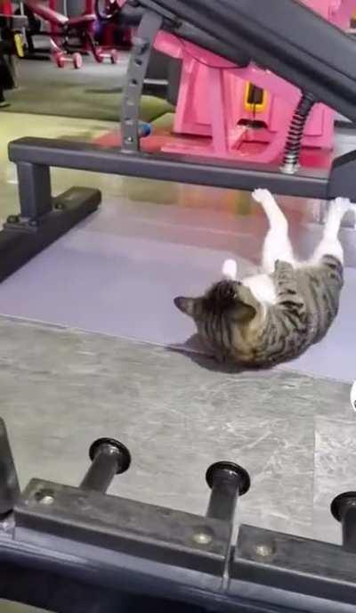 Train insane or remain the same.