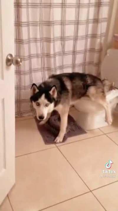 The fart at the end😂😂