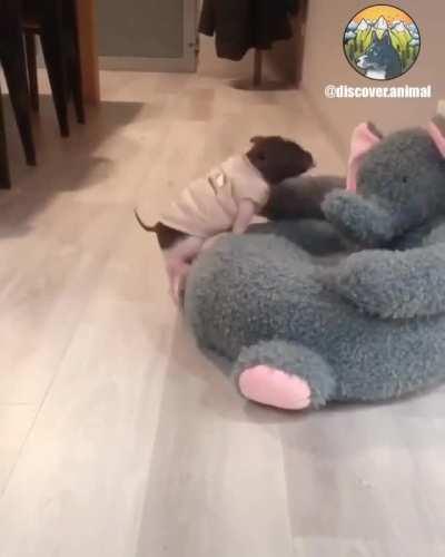 When it’s worth the effort