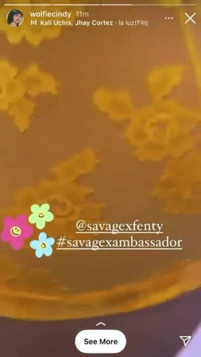 Cindy’s nipples in see-through lingerie