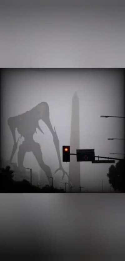 Otra intro de Argentina. Si, otra. Y está vez es versión triste para celebrar que se termina el domingo